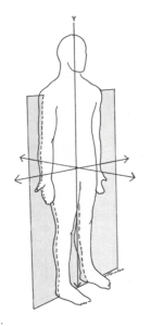 Body Reading | Dimensional Mastery