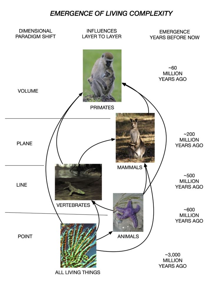 Tree of Life Website | Dimensional Mastery